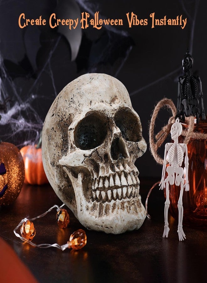 SHUS LIVE Skull Decor, Resin Realistic Skeleton Head Statue for Halloween, Fake Human Bone Skull Model for Halloween Decoration, Home, Party, Table, Bookshelf - Image 4